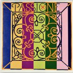 Passione Violin E String